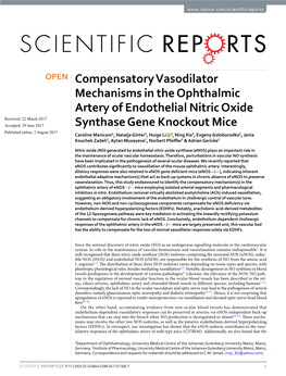 Compensatory Vasodilator Mechanisms in the Ophthalmic Artery of Endothelial Nitric Oxide Synthase Gene Knockout Mice