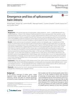 Emergence and Loss of Spliceosomal Twin Introns