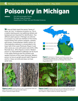 Poison Ivy in Michigan Authors: Erin Hill and Angela Tenney Michigan State University Department of Plant, Soil and Microbial Sciences