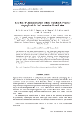 Real-Time PCR Identification of Lake Whitefish Coregonus Clupeaformis in the Laurentian Great Lakes