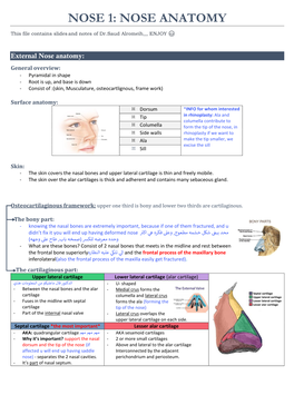 Nose Anatomy