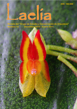 Revista Del “Grupo De Estudio Y Conservación De Orquídeas” Número 10 Diciembre 2010 – Enero 2011