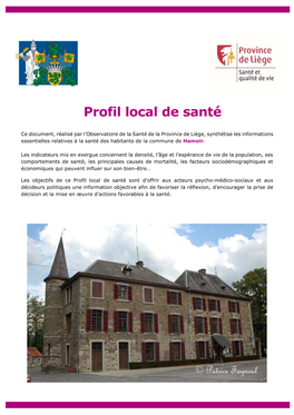 Profil Local De Santé