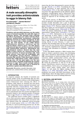 A Male Sexually Dimorphic Trait Provides Antimicrobials to Eggs In