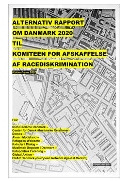 Alternativ Rapport Om Danmark 2020 Til Komiteen for Afskaffelse Af Racediskrimination