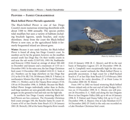 Plovers — Family Charadriidae 191