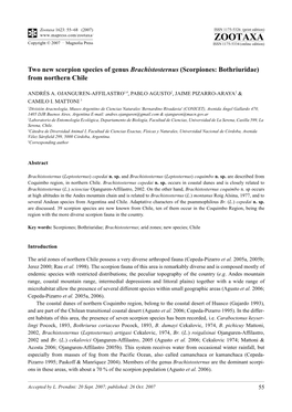 Zootaxa,Two New Scorpion Species of Genus Brachistosternus (Scorpiones: Bothriuridae)