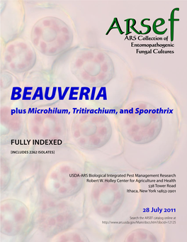 BEAUVERIA Plus Microhilum, Tritirachium, and Sporothrix