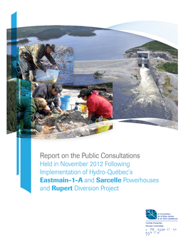 Report on the Public Consultations