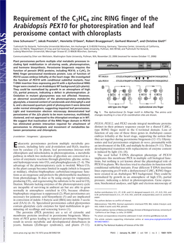 Requirement of the C3HC4 Zinc RING Finger of the Arabidopsis PEX10 for Photorespiration and Leaf Peroxisome Contact with Chloroplasts