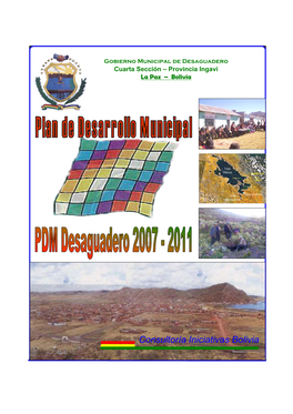 Consultoría Iniciativas Bolivia