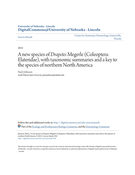 A New Species of &lt;I&gt;Drapetes&lt;/I&gt; Megerle (Coleoptera: Elateridae