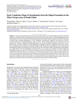 Early Cambrian (Stage 4) Brachiopods from the Shipai Formation in the Three Gorges Area of South China