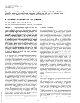 Comparative Genetics in the Grasses