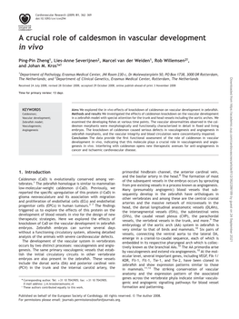 A Crucial Role of Caldesmon in Vascular Development in Vivo