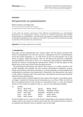 Perspectives on Palatalization