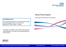 Renal Pelvis Dilation