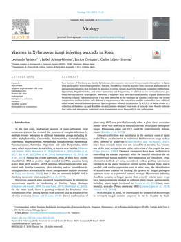 Viromes in Xylariaceae Fungi Infecting Avocado in Spain