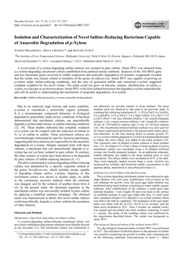 Isolation and Characterization of Novel Sulfate-Reducing Bacterium Capable of Anaerobic Degradation of P-Xylene