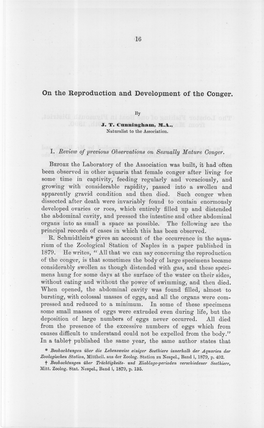 On the Reproduction and Development of the Conger