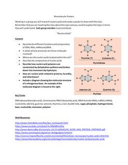 Biomolecule Posters Working in a Group You Will Research Nucleic