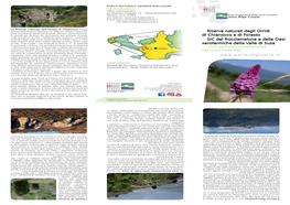 Scarica Il Pieghevole Riserve Naturali Degli Orridi Di Chianocco E Foresto