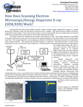 How Does Scanning Electron Microscope/Energy Dispersive X-Ray (SEM/EDX) Work?