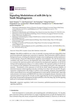 Signaling Modulations of Mir-206-3P in Tooth Morphogenesis