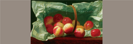 Collection of American Paintings Highlights From