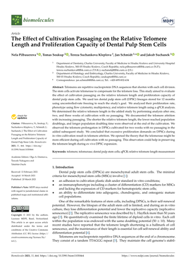 The Effect of Cultivation Passaging on the Relative Telomere Length and Proliferation Capacity of Dental Pulp Stem Cells