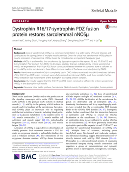 Dystrophin R16/17-Syntrophin PDZ Fusion Protein Restores Sarcolemmal