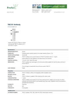 TBC1D1 Antibody