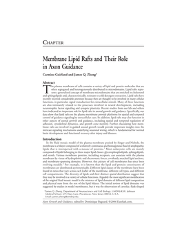 Membrane Lipid Rafts and Their Role in Axon Guidance Carmine Guirland and James Q