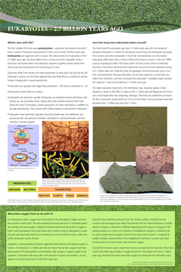 Eukaryotes – 2.7 Billion Years Ago