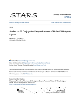 Studies on E2 Conjugation Enzyme Partners of Mulan E3 Ubiquitin Ligase