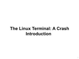 The Linux Terminal: a Crash Introduction