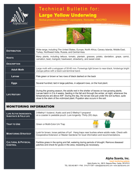 Technical Bulletin For: Information Technology Solutions Large Yellow Underwing Noctua Pronuba (Linnaeus) • Lepidoptera, Noctuidae • NOCPRO