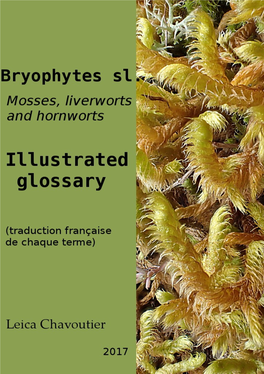 Bryophytes Sl. : Mosses, Liverworts and Hornworts. Illustrated Glossary