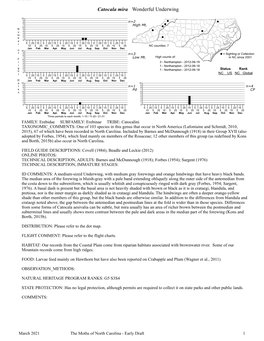 Moths of North Carolina - Early Draft 1