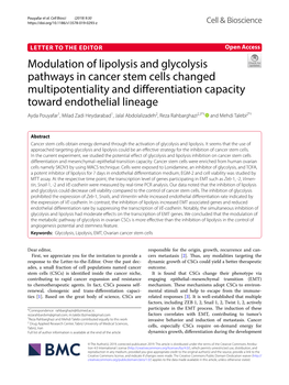 Modulation of Lipolysis and Glycolysis Pathways in Cancer Stem Cells Changed Multipotentiality and Differentiation Capacity Towa