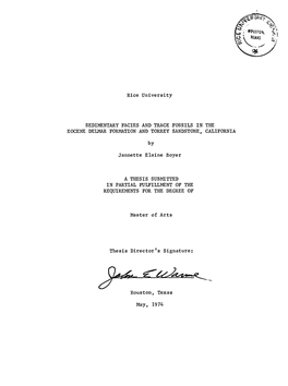 Sedimentary Facies and Trace Fossils in the Eocene Delmar Formation and Torrey Sandstone, California