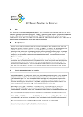 CFE County Priorities for Somerset