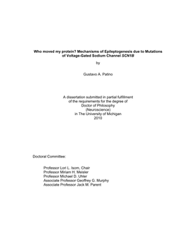 Mechanisms of Epileptogenesis Due to Mutations of Voltage-Gated Sodium Channel SCN1B By