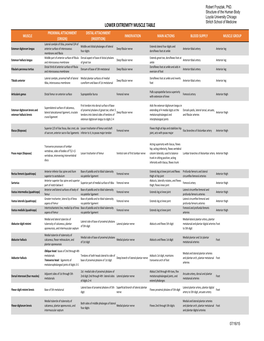 Lower Extremity Muscle Table