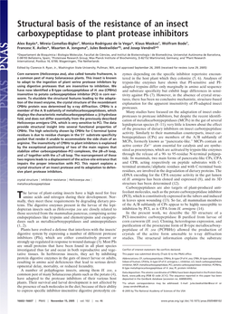 Structural Basis of the Resistance of an Insect Carboxypeptidase to Plant Protease Inhibitors