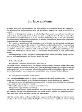 Surface Anatomy