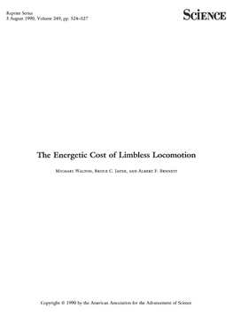 The Energetic Cost of Limbless Locomotion