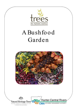 A Bushfood Garden