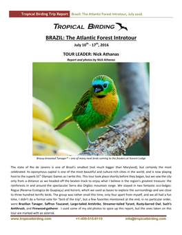 Brazil: the Atlantic Forest Introtour, July 2016