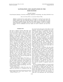 Saturation and Adaptation in the Rod System